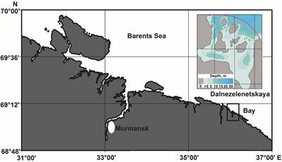 Effects of Environmental Factors on the Abundance, Biomass, and Individual Weight of Juvenile Red King Crabs in the Barents Sea